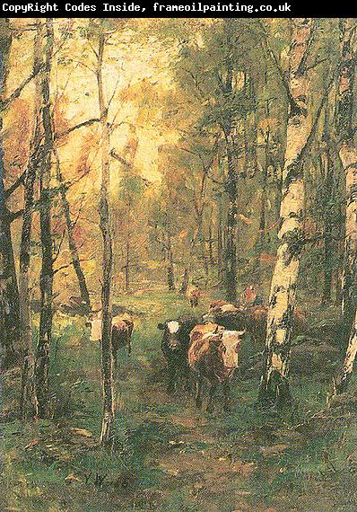 Victor Westerholm Cows in a birchwood